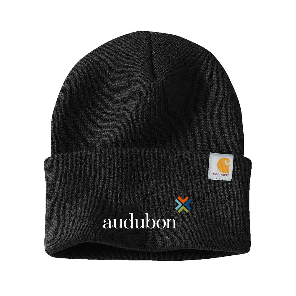Carhartt Watch Cap 2.0