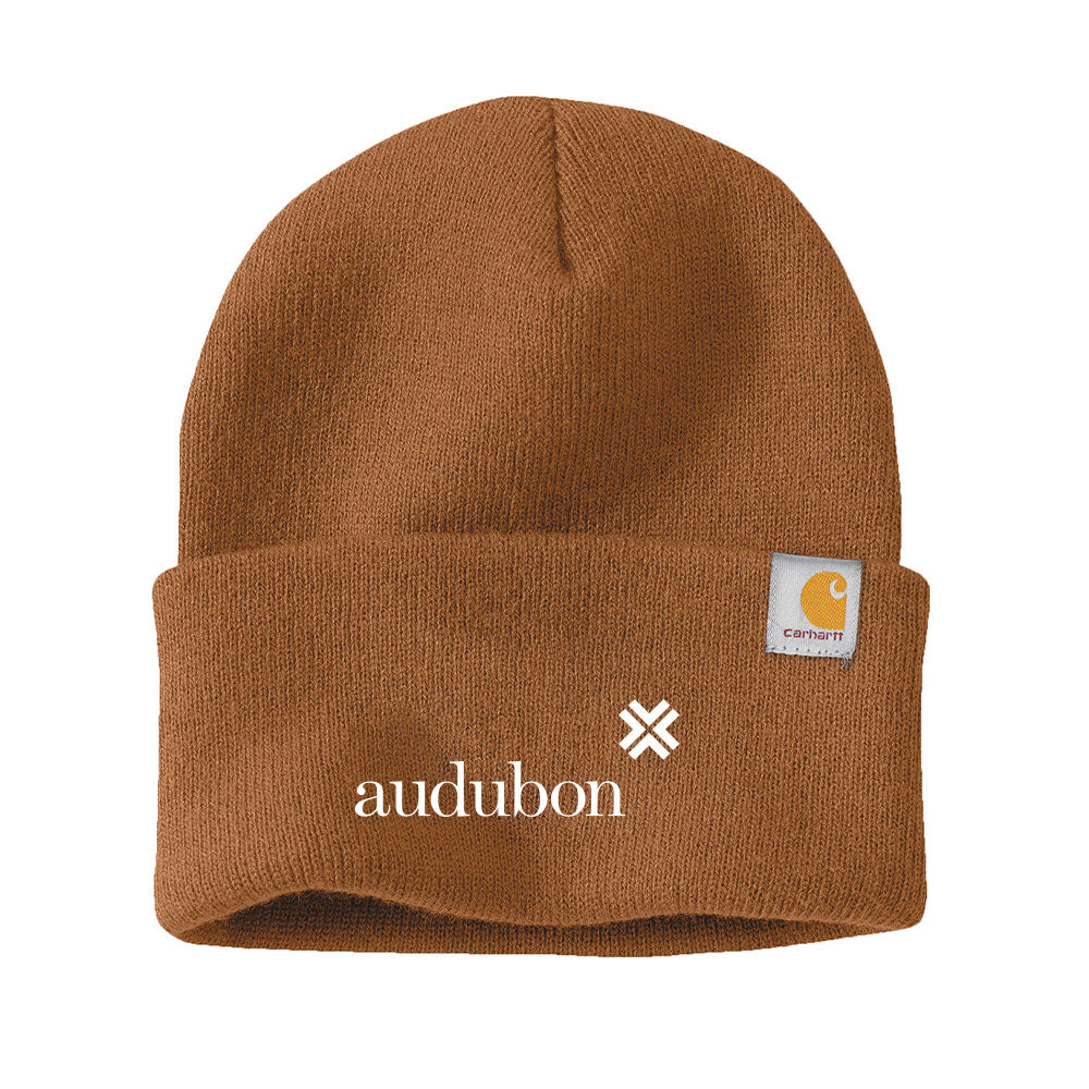 Carhartt Watch Cap 2.0