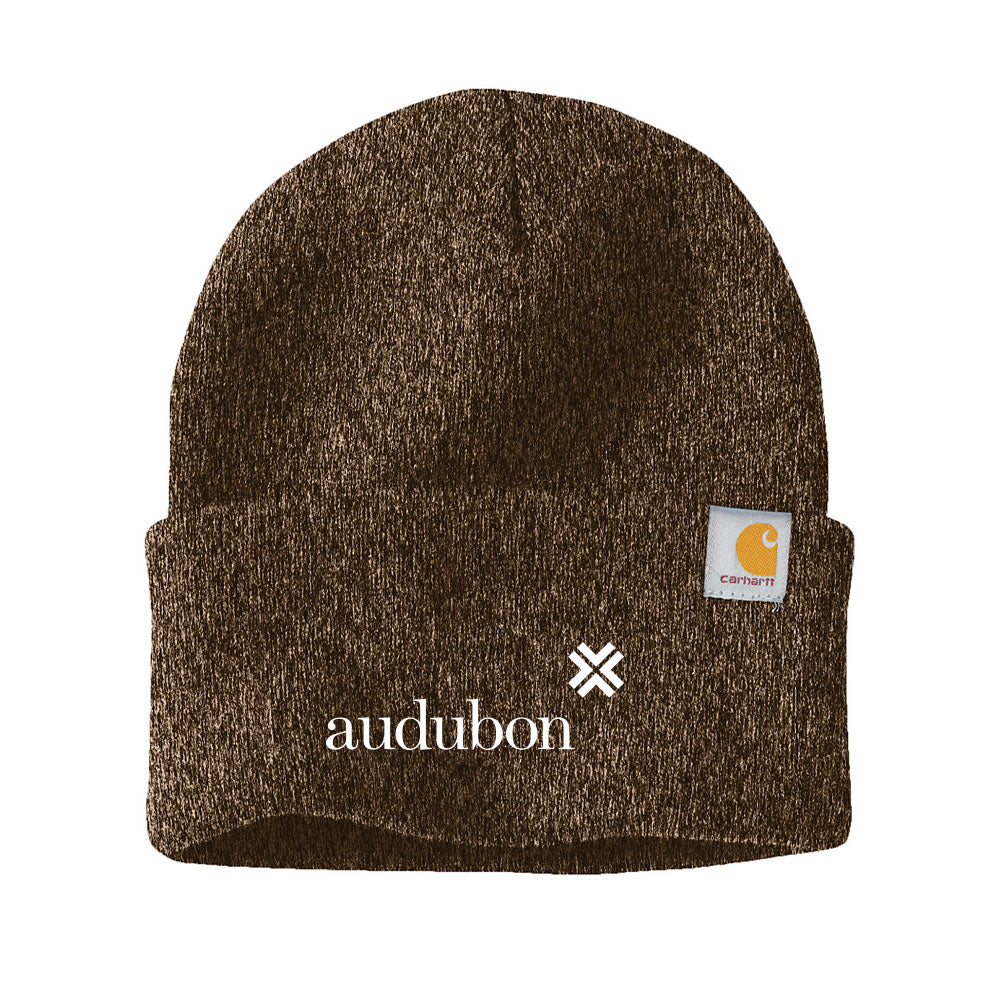 Carhartt Watch Cap 2.0