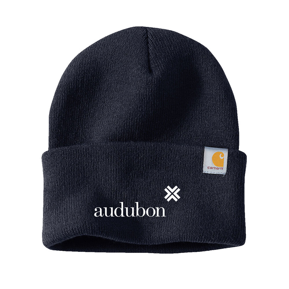 Carhartt Watch Cap 2.0