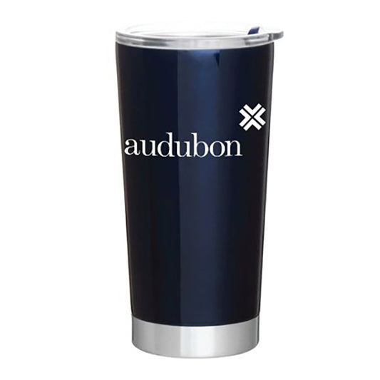 Frost 20oz Thermal Tumbler